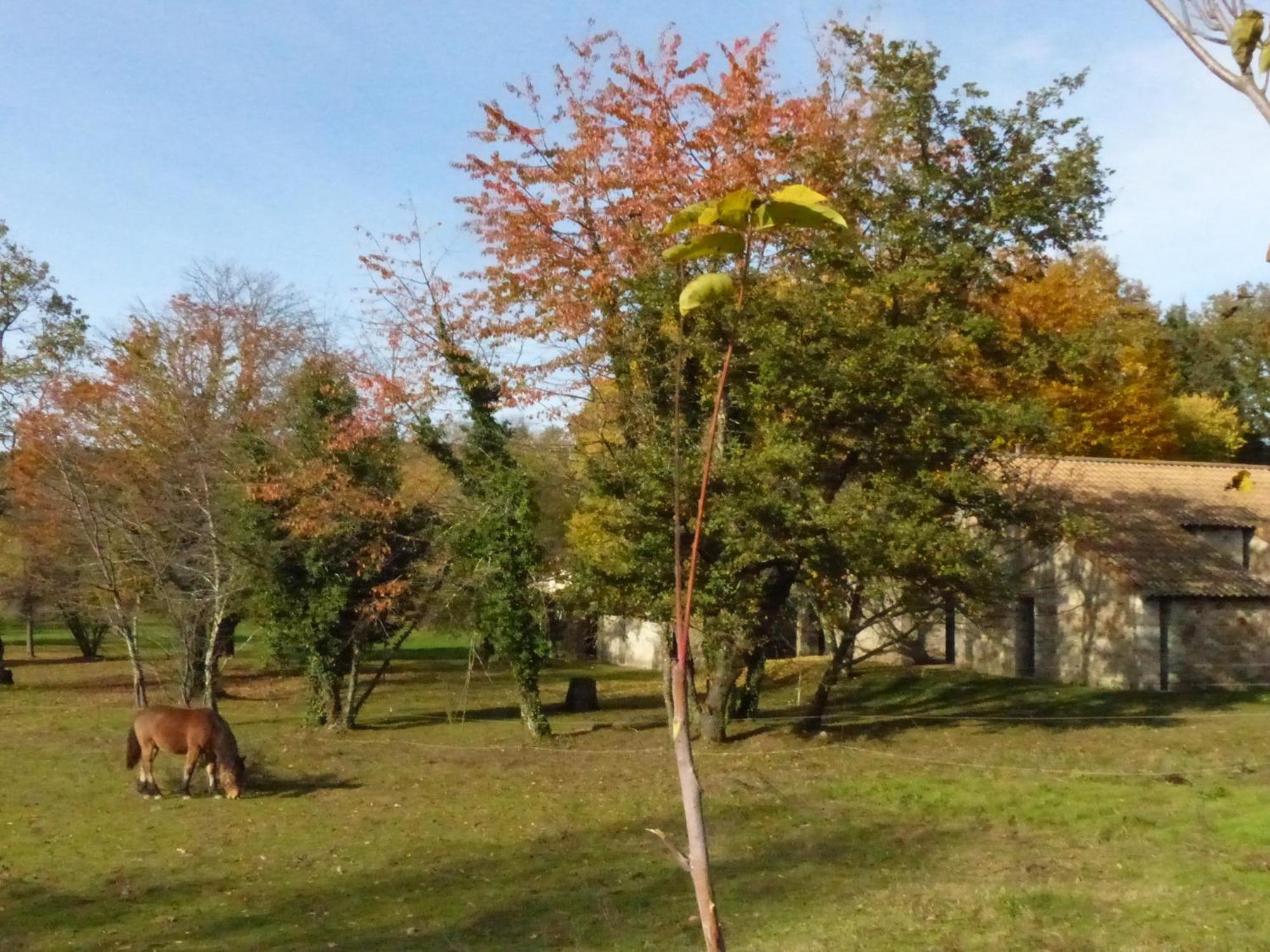 Terres De France - Le Domaine Des Vans Chambonas Ngoại thất bức ảnh